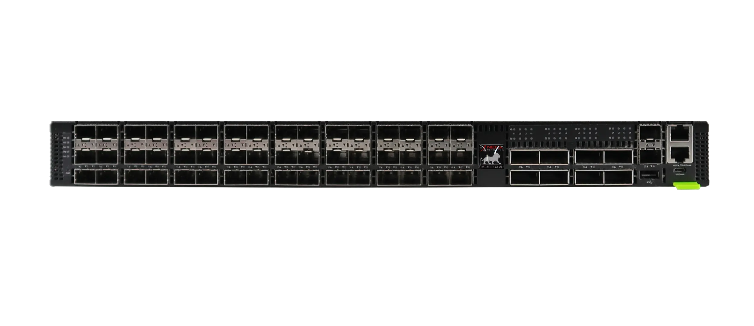 PacketLion 1L Network Packet Broker