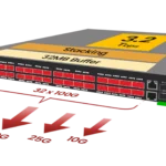 PacketLion 2L Network Packet Broker
